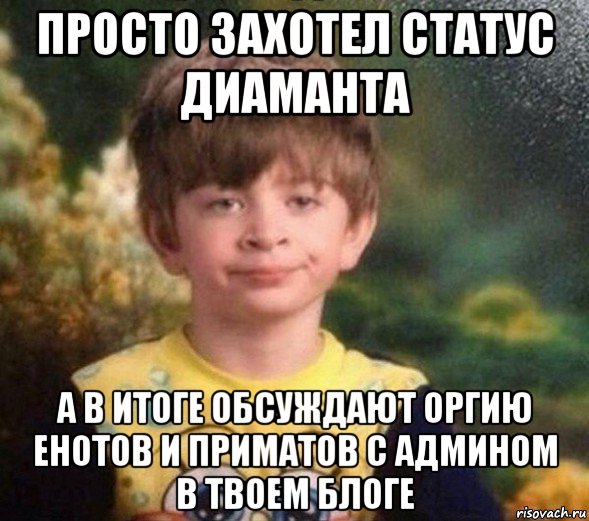 просто захотел статус диаманта а в итоге обсуждают оргию енотов и приматов с админом в твоем блоге, Мем Недовольный пацан