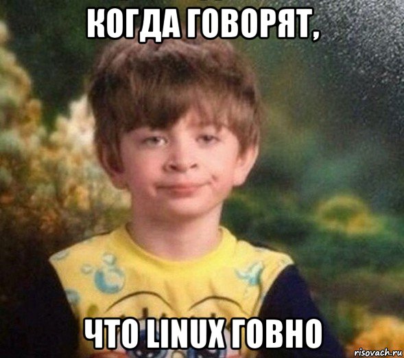 когда говорят, что linux говно, Мем Недовольный пацан