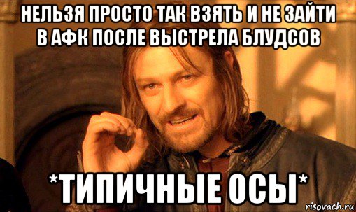 нельзя просто так взять и не зайти в афк после выстрела блудсов *типичные осы*, Мем Нельзя просто так взять и (Боромир мем)