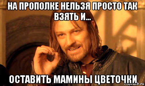 на прополке нельзя просто так взять и... оставить мамины цветочки, Мем Нельзя просто так взять и (Боромир мем)