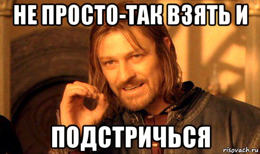 не просто-так взять и подстричься, Мем Нельзя просто так взять и (Боромир мем)