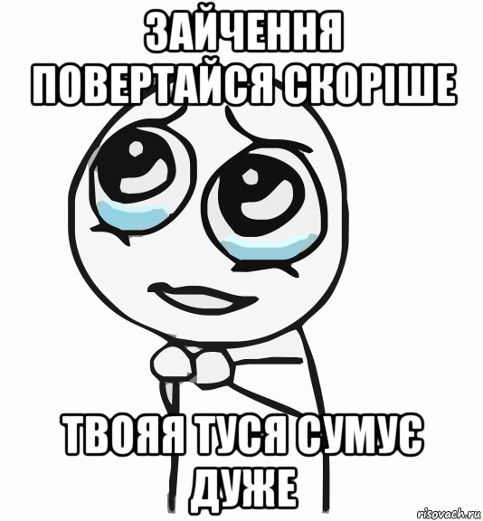 зайчення повертайся скоріше твояя туся сумує дуже, Мем  ну пожалуйста (please)