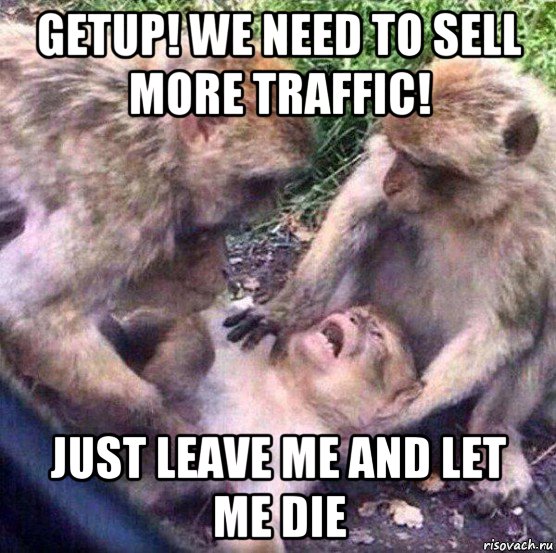 getup! we need to sell more traffic! just leave me and let me die, Мем Обезьяны