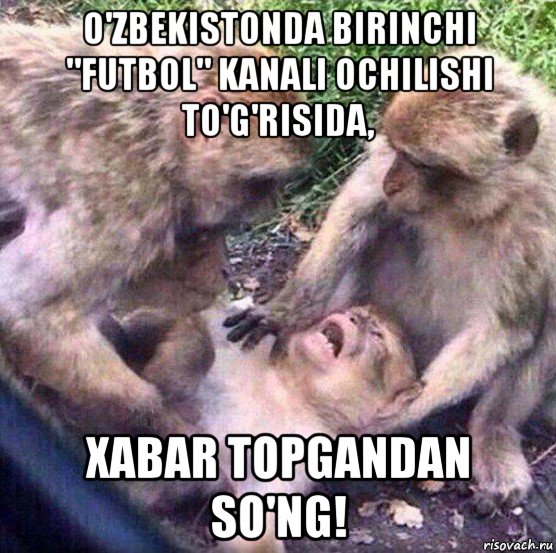 o'zbekistonda birinchi "futbol" kanali ochilishi to'g'risida, xabar topgandan so'ng!