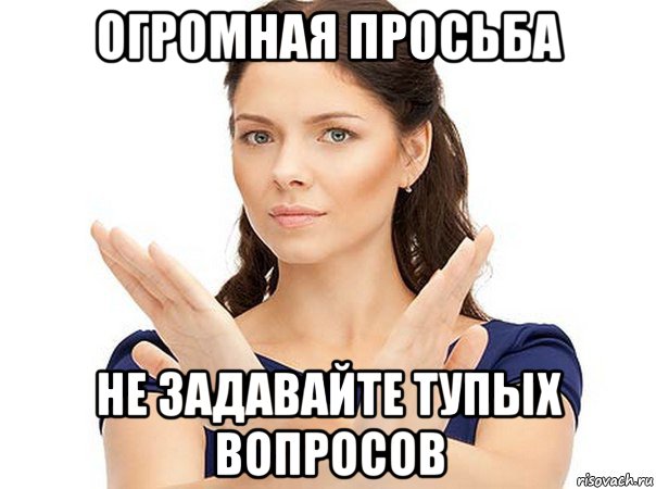 огромная просьба не задавайте тупых вопросов, Мем Огромная просьба