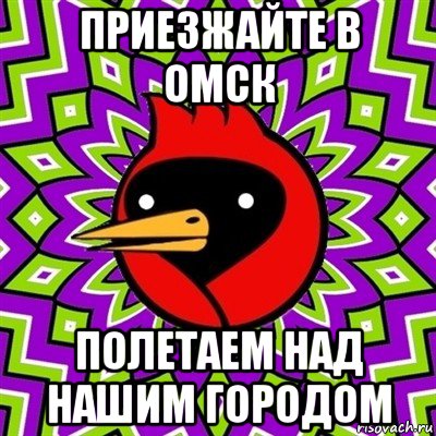 приезжайте в омск полетаем над нашим городом, Мем Омская птица