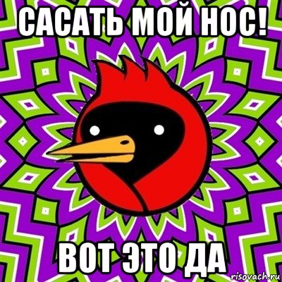 сасать мой нос! вот это да, Мем Омская птица