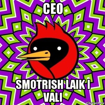 ceo smotrish laik i vali, Мем Омская птица