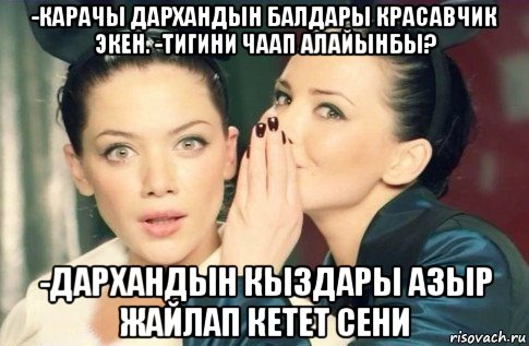 -карачы дархандын балдары красавчик экен. -тигини чаап алайынбы? -дархандын кыздары азыр жайлап кетет сени, Мем  Он