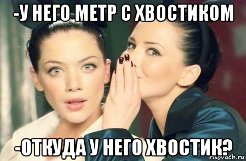 -у него метр с хвостиком -откуда у него хвостик?, Мем  Он