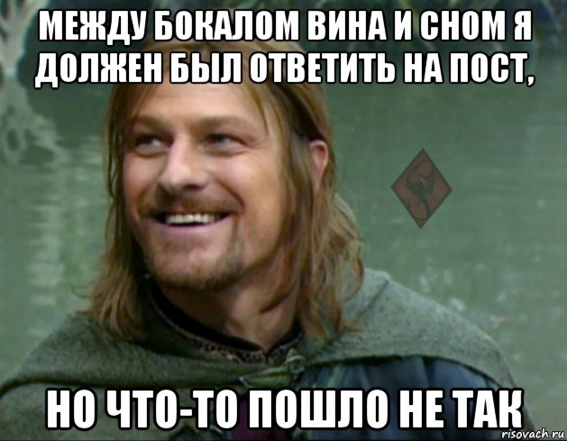 между бокалом вина и сном я должен был ответить на пост, но что-то пошло не так, Мем ОР Тролль Боромир