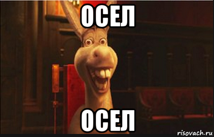 осел осел, Мем Осел из Шрека