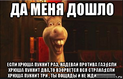 да меня дошло если хрюша пукнит раз, надевай протива газ;если хрюша пукнит два,то взорвется вся страна;если хрюша пукнит три , ты пощяды и не жди!!!!!!!!!!!!!, Мем Осел из Шрека