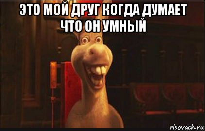 это мой друг когда думает что он умный , Мем Осел из Шрека