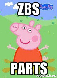 zbs parts