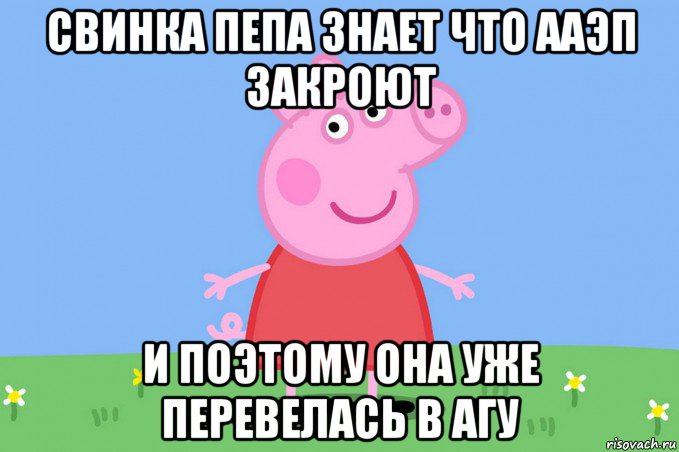 свинка пепа знает что ааэп закроют и поэтому она уже перевелась в агу, Мем Пеппа