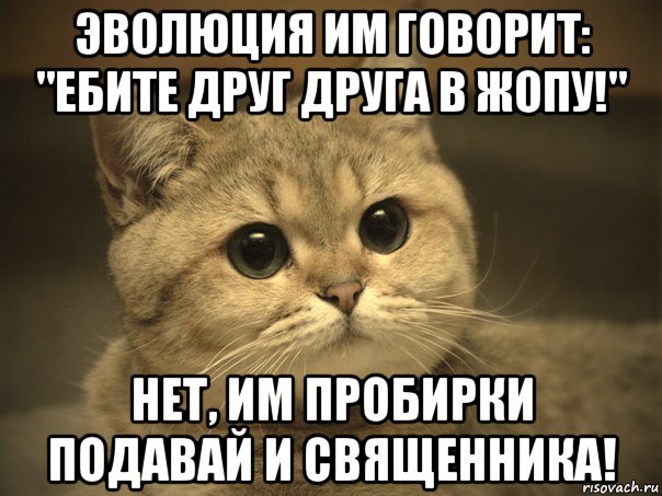 эволюция им говорит: "ебите друг друга в жопу!" нет, им пробирки подавай и священника!, Мем Пидрила ебаная котик