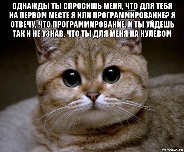 однажды ты спросишь меня, что для тебя на первом месте я или программирование? я отвечу, что программирование. и ты уйдешь так и не узнав, что ты для меня на нулевом , Мем Пидрила Ебаная