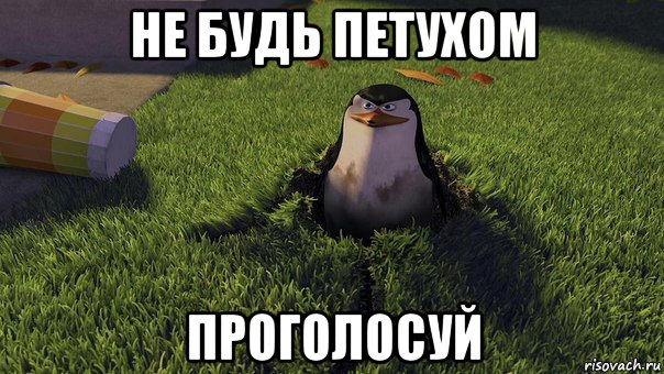 не будь петухом проголосуй, Мем  ПИНГВИН