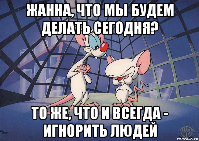 жанна, что мы будем делать сегодня? то же, что и всегда - игнорить людей