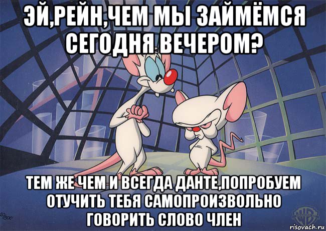 эй,рейн,чем мы займёмся сегодня вечером? тем же чем и всегда данте,попробуем отучить тебя самопроизвольно говорить слово член