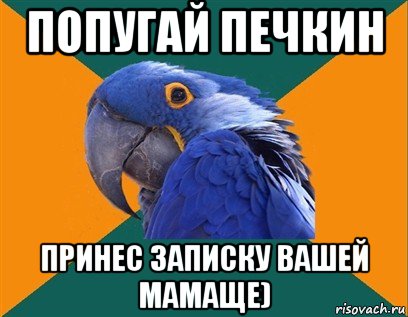 попугай печкин принес записку вашей мамаще), Мем Попугай параноик