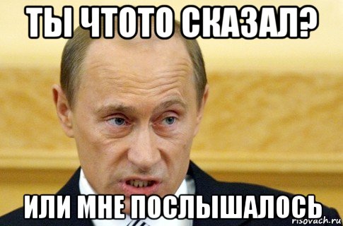 ты чтото сказал? или мне послышалось, Мем путин