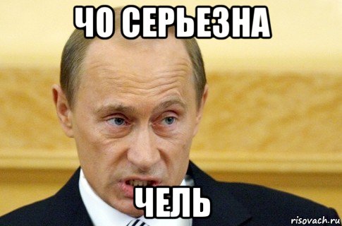 чо серьезна чель, Мем путин