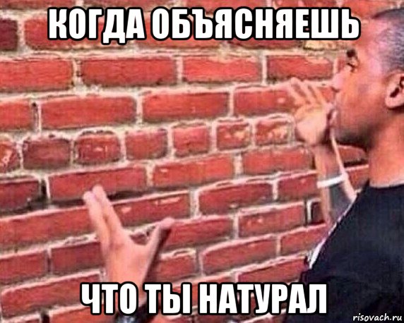 когда объясняешь что ты натурал, Мем разговор со стеной