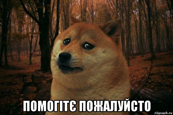  помогітє пожалуйсто, Мем SAD DOGE