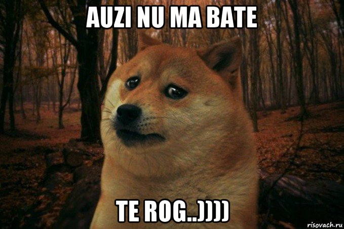 auzi nu ma bate te rog..)))), Мем SAD DOGE