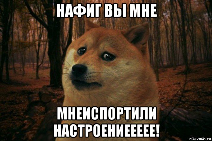 нафиг вы мне мнеиспортили настроениеееее!, Мем SAD DOGE