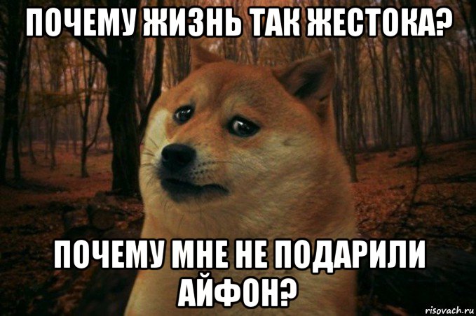 почему жизнь так жестока? почему мне не подарили айфон?, Мем SAD DOGE