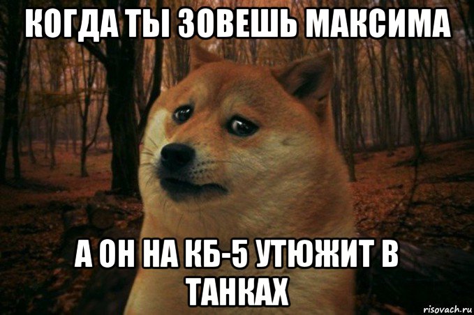 когда ты зовешь максима а он на кб-5 утюжит в танках, Мем SAD DOGE