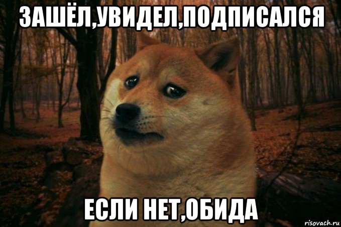 зашёл,увидел,подписался если нет,обида, Мем SAD DOGE