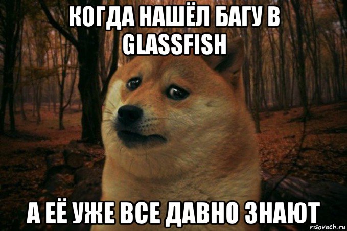 когда нашёл багу в glassfish а её уже все давно знают, Мем SAD DOGE