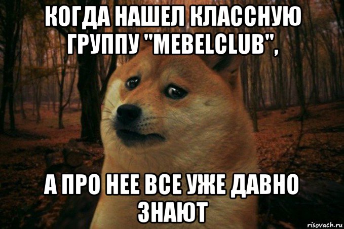 когда нашел классную группу "mebelclub", а про нее все уже давно знают, Мем SAD DOGE