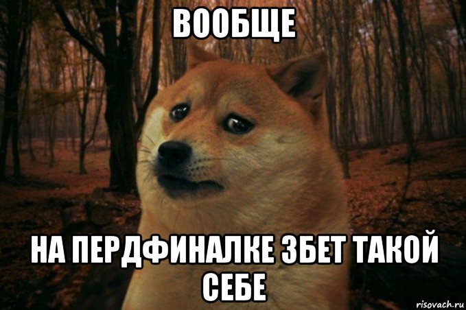 вообще на пердфиналке 3бет такой себе, Мем SAD DOGE