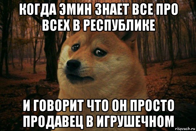 когда эмин знает все про всех в республике и говорит что он просто продавец в игрушечном, Мем SAD DOGE