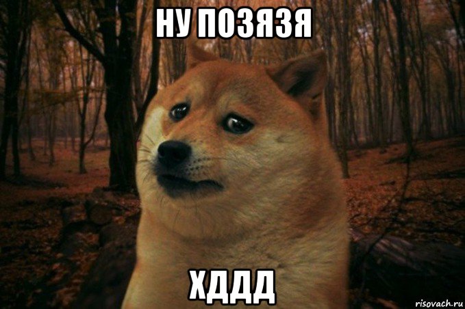 ну позязя хддд, Мем SAD DOGE