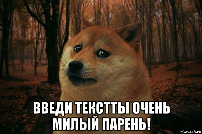  введи текстты очень милый парень!, Мем SAD DOGE