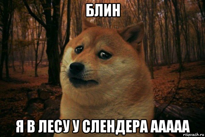 блин я в лесу у слендера ааааа, Мем SAD DOGE