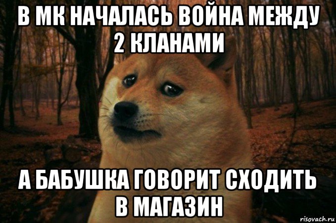 в мк началась война между 2 кланами а бабушка говорит сходить в магазин, Мем SAD DOGE