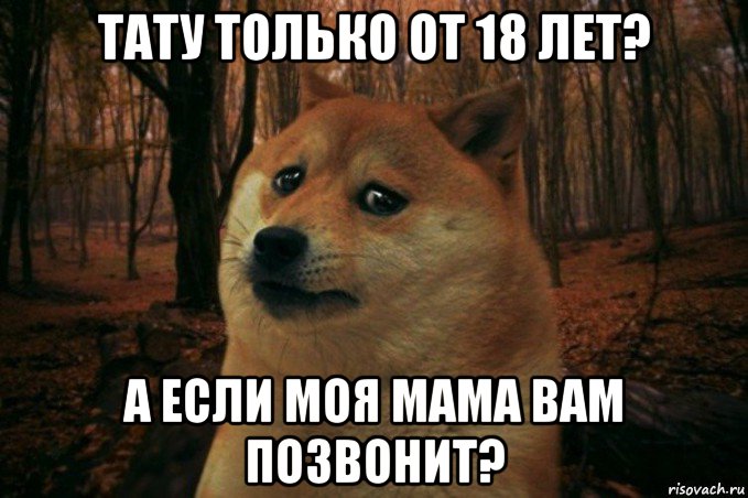 тату только от 18 лет? а если моя мама вам позвонит?, Мем SAD DOGE