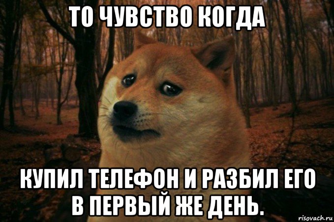 то чувство когда купил телефон и разбил его в первый же день., Мем SAD DOGE