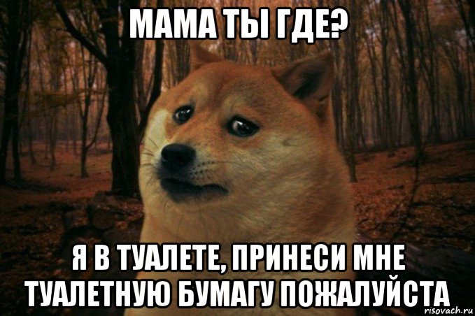 мама ты где? я в туалете, принеси мне туалетную бумагу пожалуйста, Мем SAD DOGE