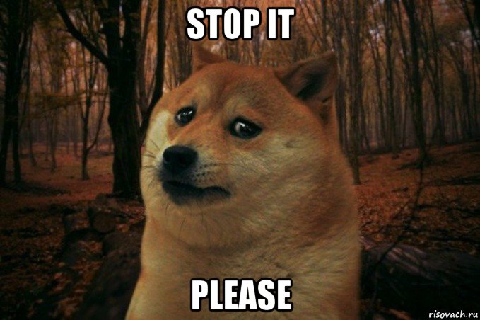 stop it please, Мем SAD DOGE