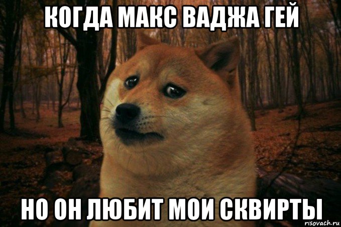 когда макс ваджа гей но он любит мои сквирты, Мем SAD DOGE