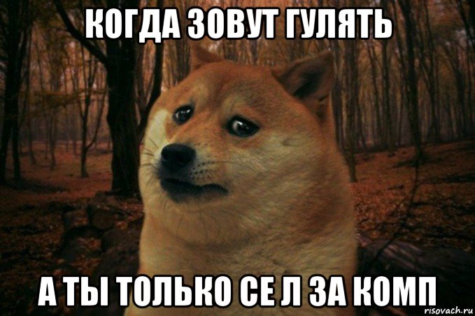 когда зовут гулять а ты только се л за комп, Мем SAD DOGE