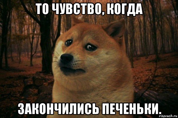 то чувство, когда закончились печеньки., Мем SAD DOGE